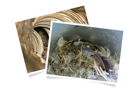 Détecter les problèmes avant qu’ils ne surviennent!